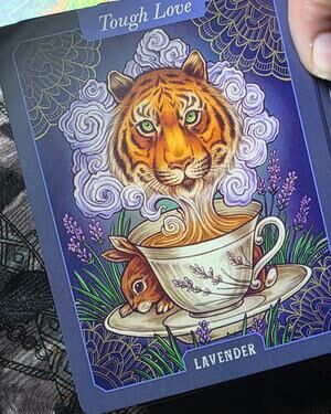 The Illustrated Herbiary Oracle Cards Deck Bewitching Botanicals Maia Toll Tarot